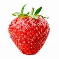 fraises bien sucrées