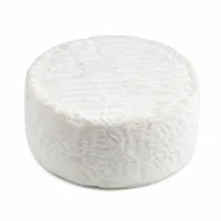fromage de chèvre frais
