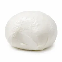 fromage type mozzarella