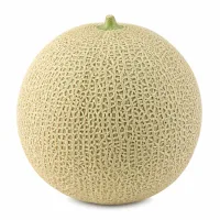 fruits confits