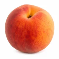 fruits frais (de saison)
