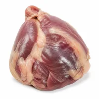 gésiers confits de canard