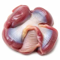 gésiers de canard confits émincés