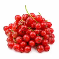 groseilles