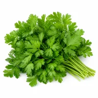 herbes fraîches (persil ou coriandre) pour servir