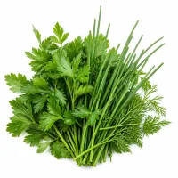 Herbes fraîches (persil, ciboulette, etc.)