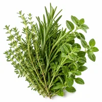 herbes (thym, romarin, origan)