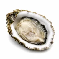 huîtres