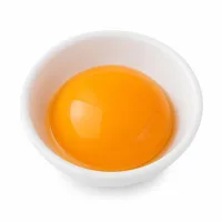 jaune d'œuf pour la dorure