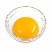 jaune d'oeuf pour le dorure