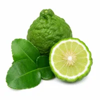 kaffir lime