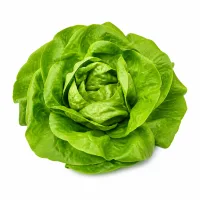légumes de votre choix (laitue, carottes, poivrons...)