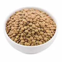 lentilles sèches