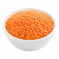 lentilles corail