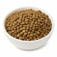 lentilles rincées