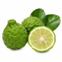 lime kaffir
