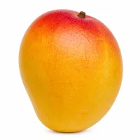 mangue
