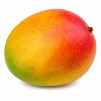 mangue bien mûre