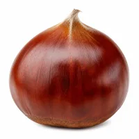 marrons cuits