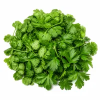 mélange de coriandre et persil hachés