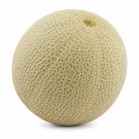 melon