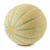 melon charentais ou 1/2 petite pastèque (avec chair, cavité vidée légèrement)