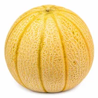 melon de Cavaillon