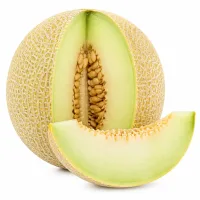 melon Galia ou cantaloup