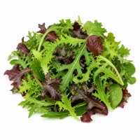 mesclun