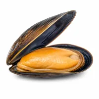moules