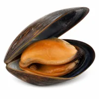 moules de roche