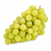muscat blanc