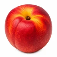 nectarines