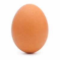 oeufs + 1 oeuf