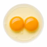 oeufs + 2 jaunes