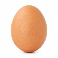 oeuf