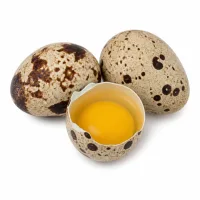 oeufs de caille
