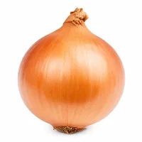 oignon