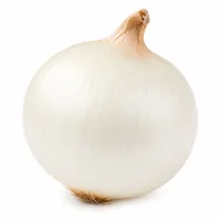 oignon blanc
