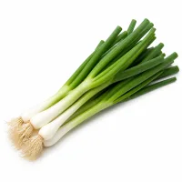 oignons cébette