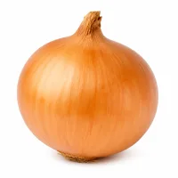 oignon jaune
