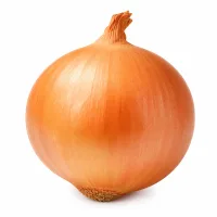 oignon petit
