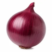 oignon rouge