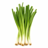 oignon vert