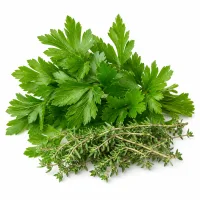 persil et de thym