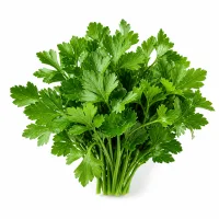 persil (ou ciboulette)