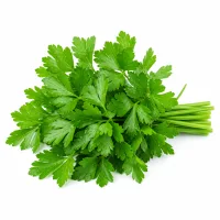 persil plat