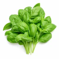 Pesto alla Genovese (ou du pesto maison)