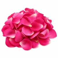pétales de rose séchés