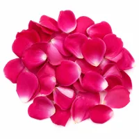 pétales de rose comestibles